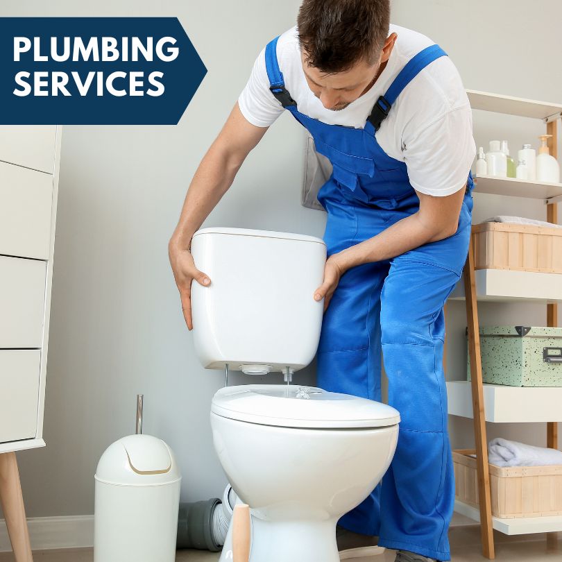 Plumbing Company in Belview, MN
